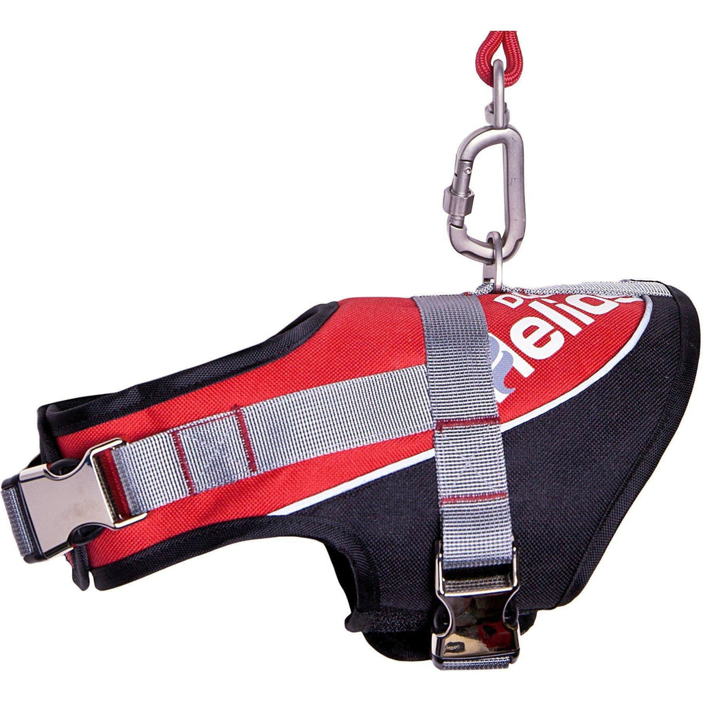 Dog Helios ® 'Bark-Mudder' 2-in-1 Reflective and Adjustable Sporty Dog Harness and Leash - P's One-Stop Shop 