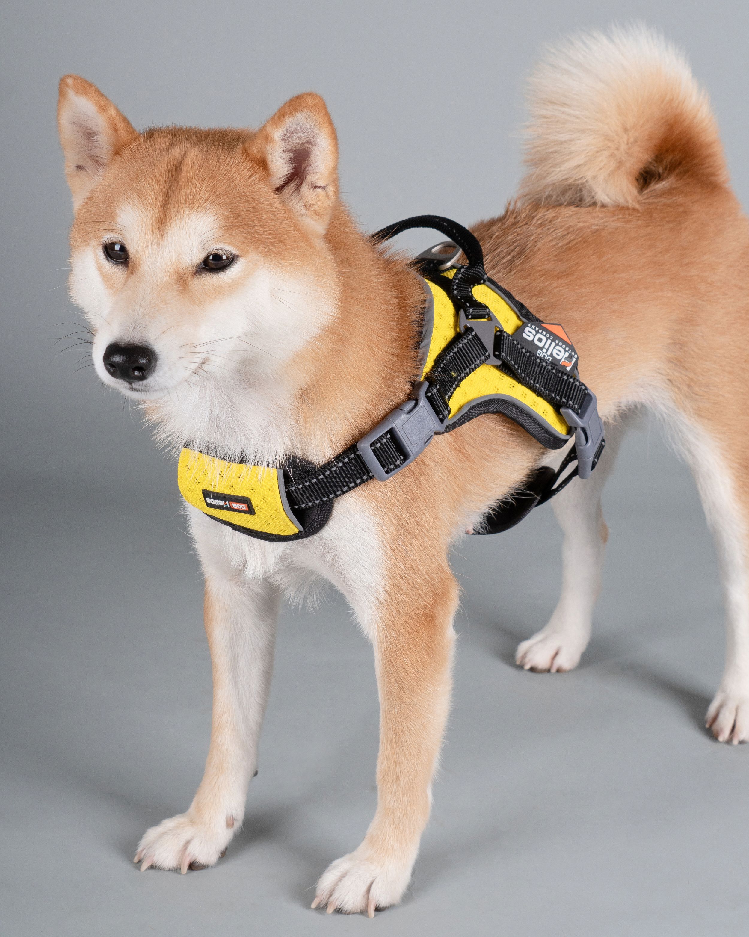 Dog Helios ® 'Scorpion' Sporty High-Performance Free-Range Dog Harness - P's One-Stop Shop 