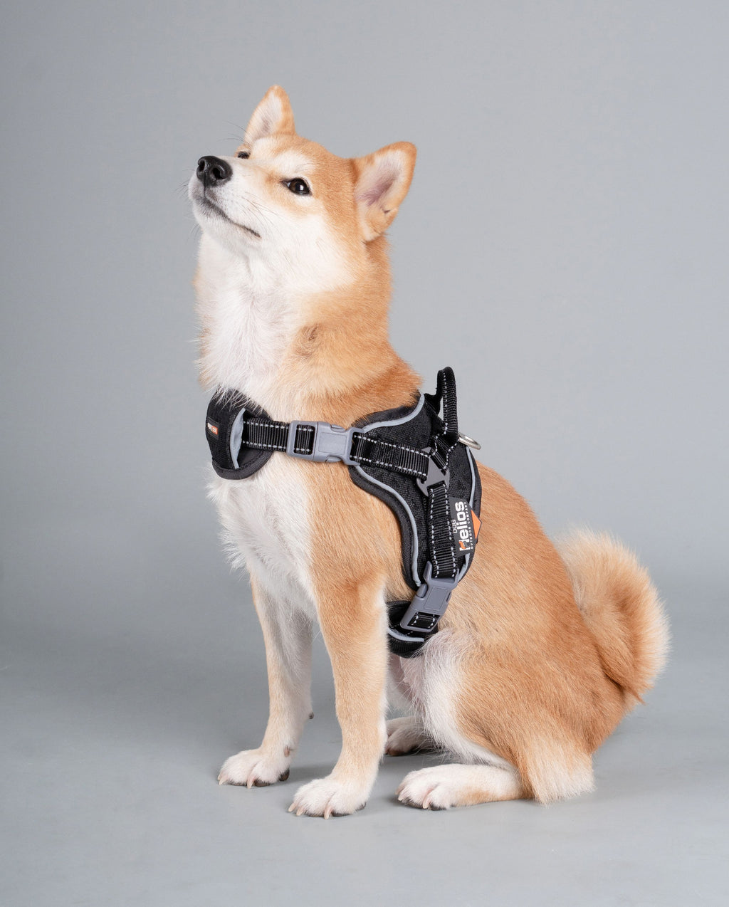 Dog Helios ® 'Scorpion' Sporty High-Performance Free-Range Dog Harness - P's One-Stop Shop 
