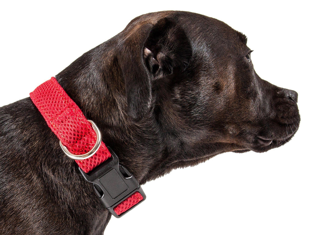 Pet Life ®  'Aero Mesh' Dual-Sided Breathable and Adjustable Thick Mesh Dog Collar - P's One-Stop Shop 
