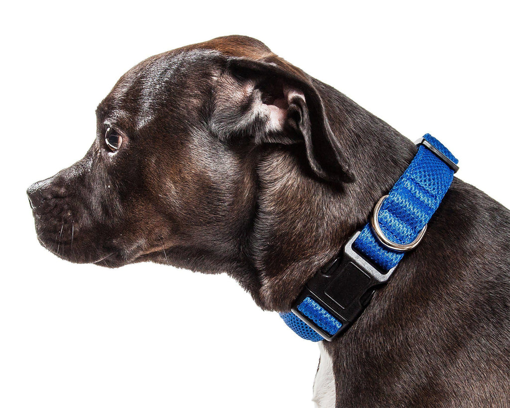 Pet Life ®  'Aero Mesh' Dual-Sided Breathable and Adjustable Thick Mesh Dog Collar - P's One-Stop Shop 