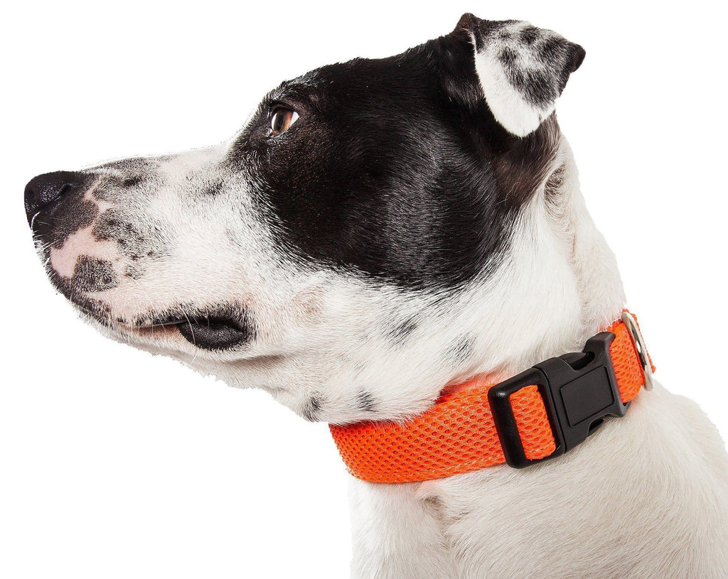 Pet Life ®  'Aero Mesh' Dual-Sided Breathable and Adjustable Thick Mesh Dog Collar - P's One-Stop Shop 
