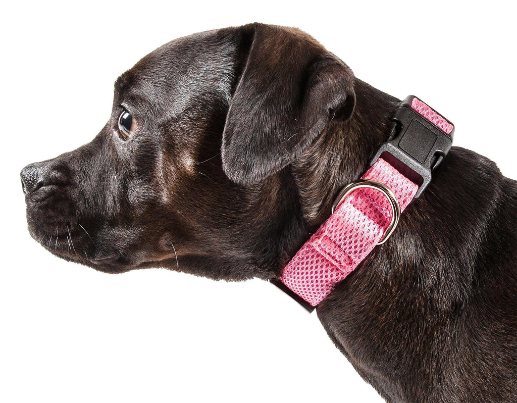 Pet Life ®  'Aero Mesh' Dual-Sided Breathable and Adjustable Thick Mesh Dog Collar - P's One-Stop Shop 