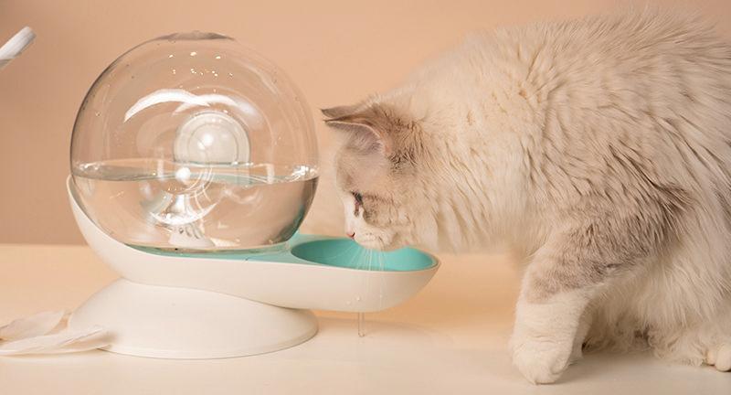 Pet Life ® 'Auto-Myst' Snail Shaped 2-in-1 Automated Gravity Pet Filtered Water Dispenser and Food Bowl - P's One-Stop Shop 