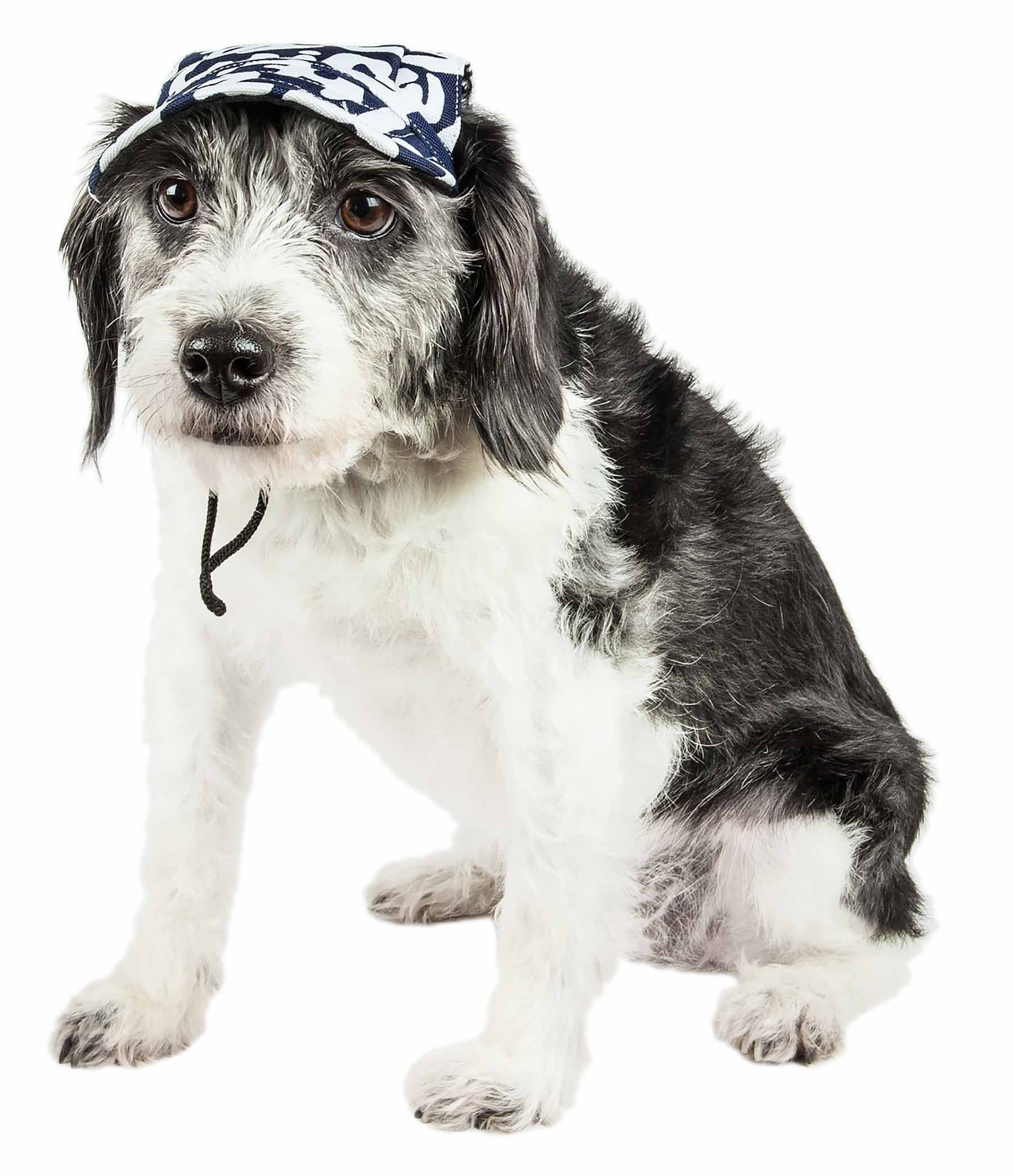 Pet Life ®  'Bone Cappa' Graffiti Sculptured Uv Protectant Adjustable Fashion Dog Hat Cap - P's One-Stop Shop 