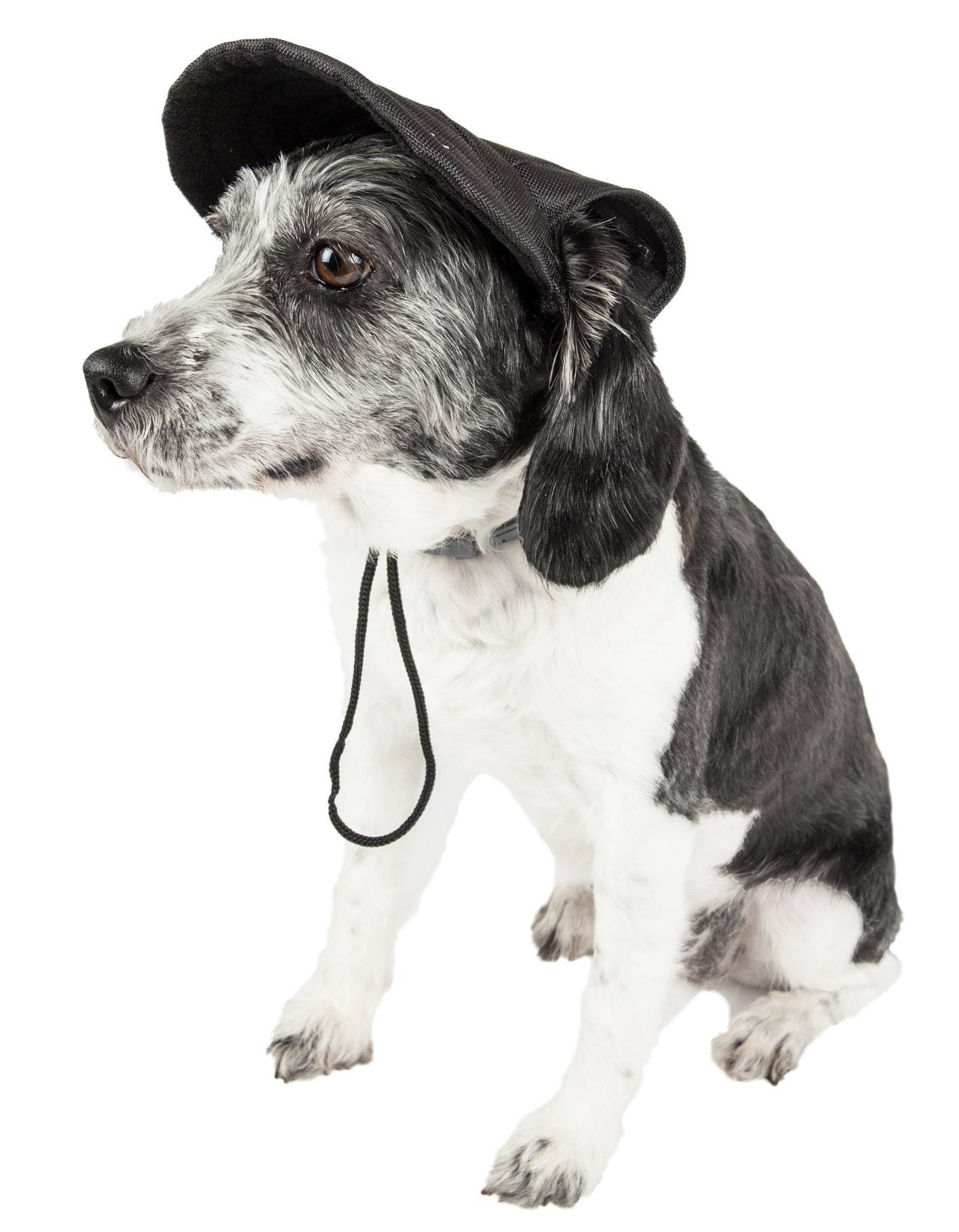 Pet Life ®  'Cap-Tivating' UV Protectant Adjustable Fashion Dog Hat Cap - P's One-Stop Shop 
