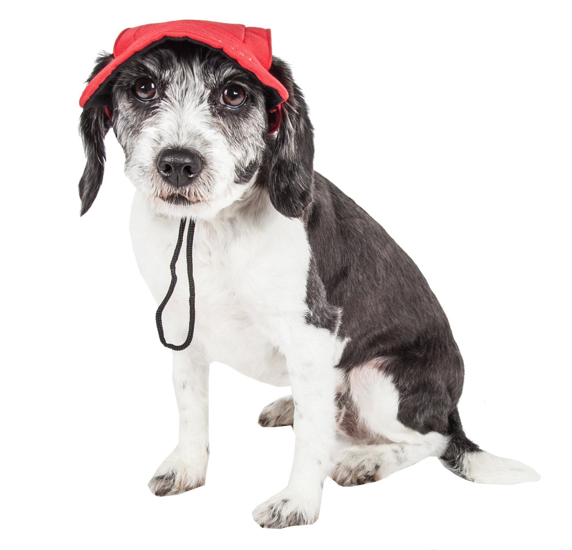 Pet Life ®  'Cap-Tivating' UV Protectant Adjustable Fashion Dog Hat Cap - P's One-Stop Shop 