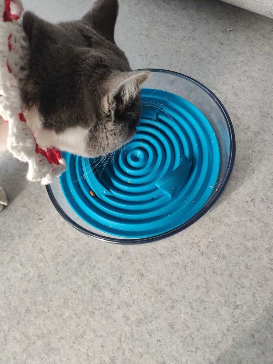 Pet Life ® 'Cirlicue' Shark Fin Shaped Modern Slow Feeding Pet Bowl - P's One-Stop Shop 