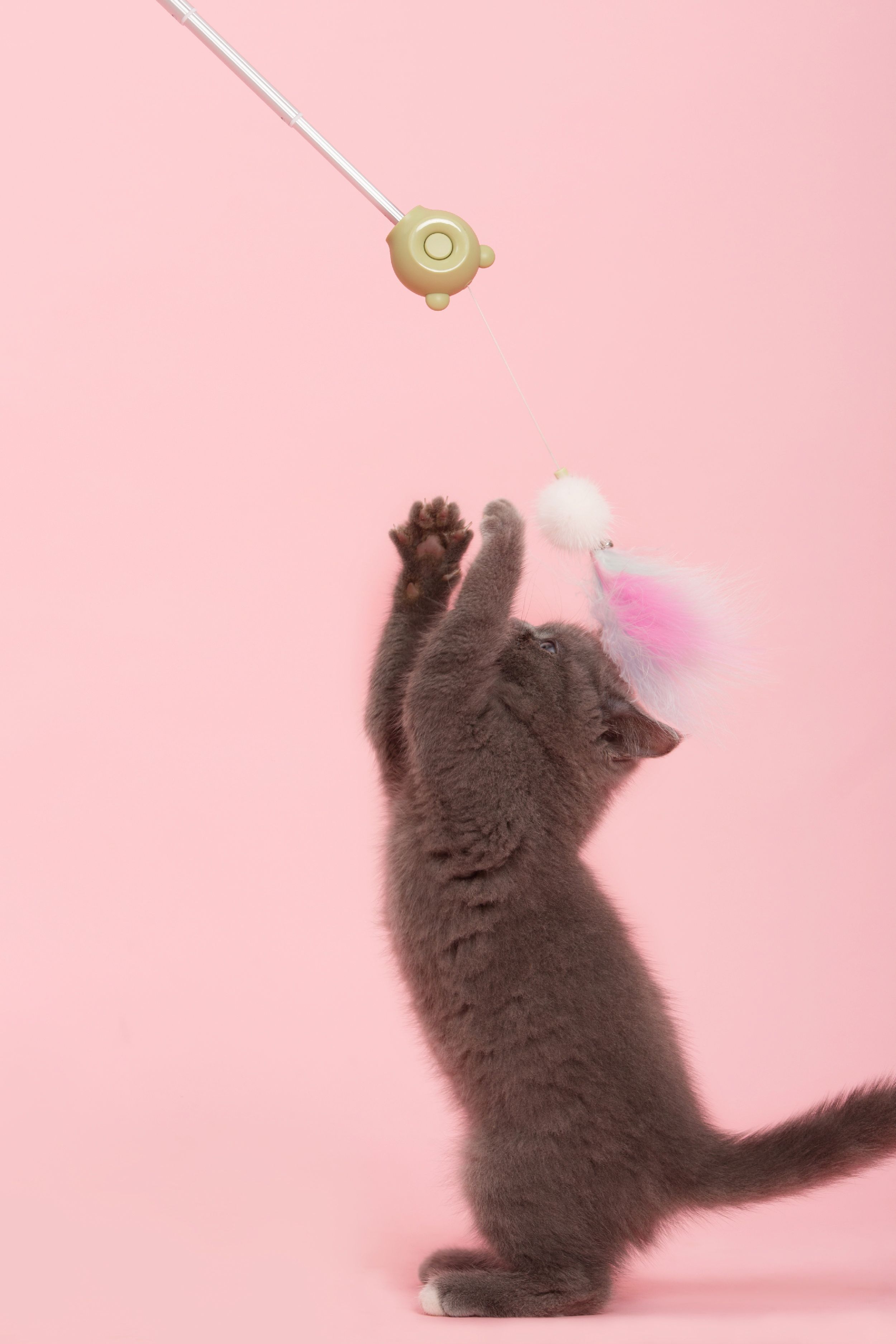 Pet Life ® 'KITIQUE" 3-in-1 Retractable and Extendable Feathered and Laser Wand Kitty Cat Teaser - P's One-Stop Shop 
