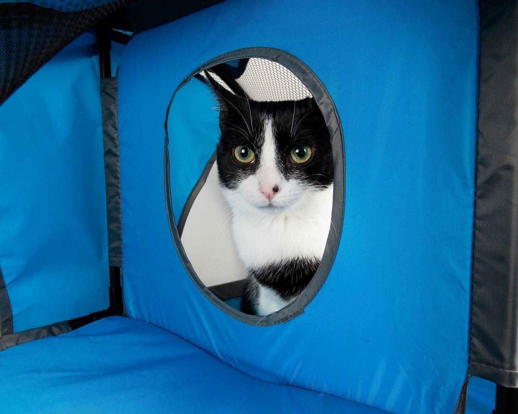 Pet Life ® 'Kitty-Play' Collapsible Travel Interactive Kitty Cat Tree Maze House Lounger Tunnel Lounge - P's One-Stop Shop 