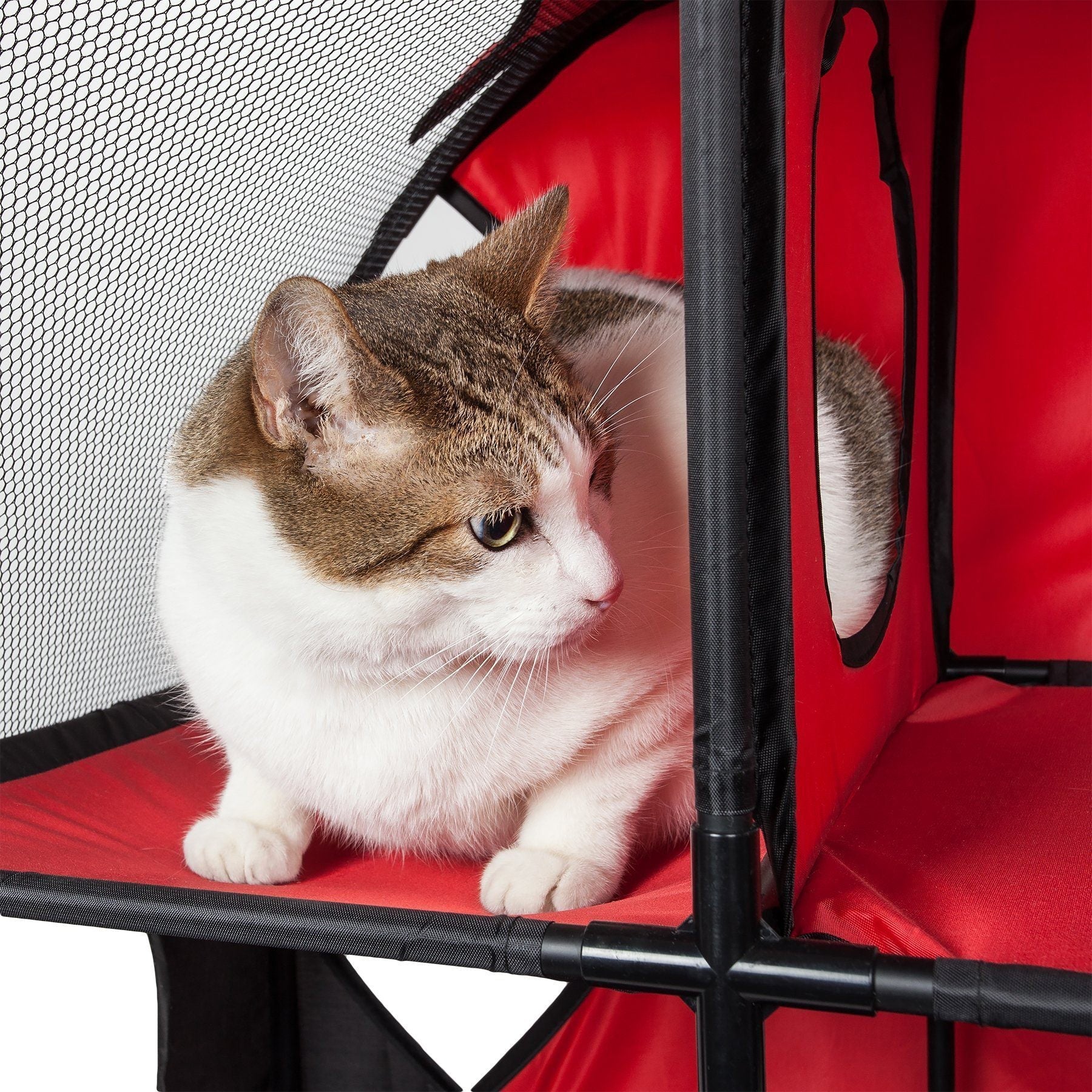 Pet Life ® 'Kitty-Play' Collapsible Travel Interactive Kitty Cat Tree Maze House Lounger Tunnel Lounge - P's One-Stop Shop 