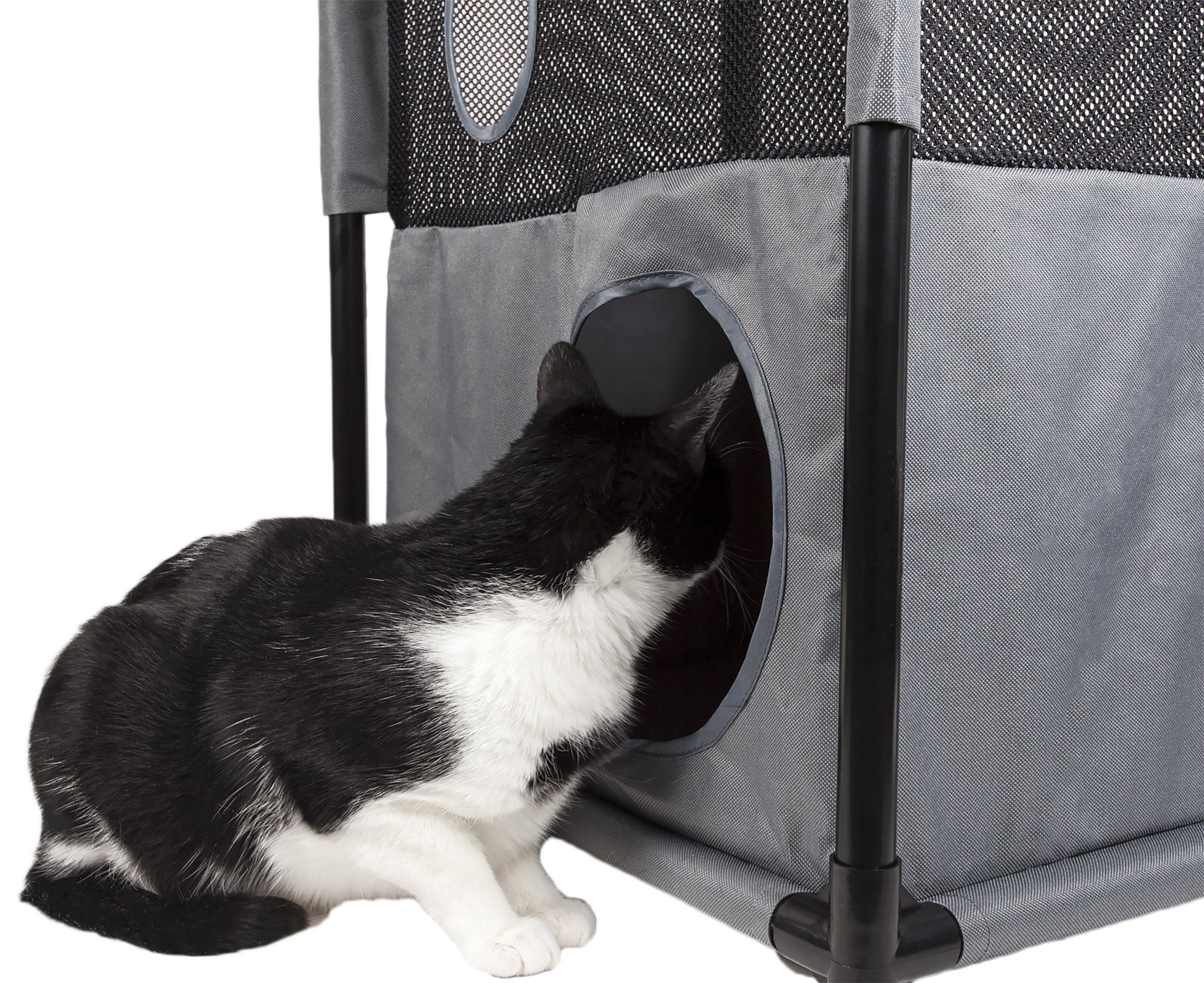 Pet Life ® 'Kitty-Square' Collapsible Travel Interactive Kitty Cat Tree Maze House Lounger Tunnel Lounge - P's One-Stop Shop 