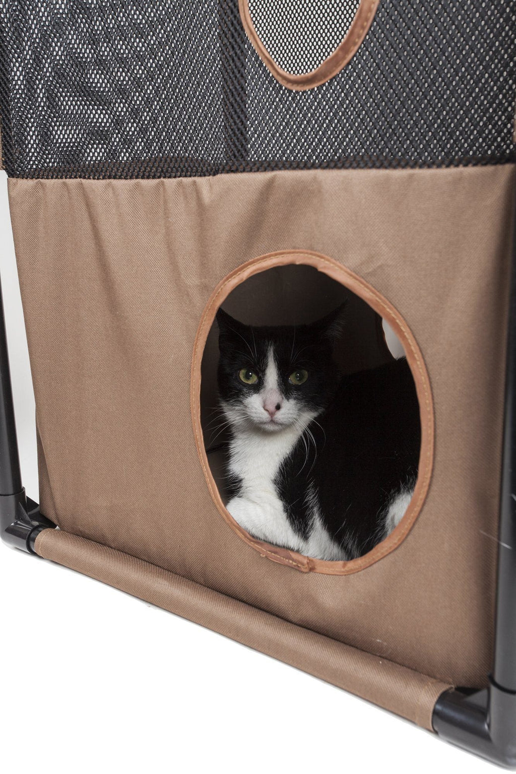 Pet Life ® 'Kitty-Square' Collapsible Travel Interactive Kitty Cat Tree Maze House Lounger Tunnel Lounge - P's One-Stop Shop 