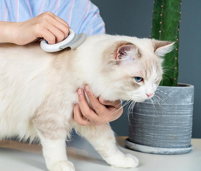 Pet Life ® 'Knuckler' Handheld Travel Flexible Grooming Pet Rake Comb - P's One-Stop Shop 