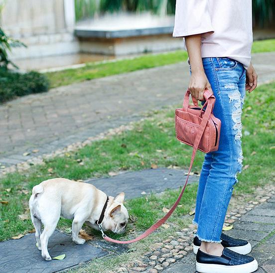 Pet Life ® 'Posh Walk' Purse Dog Leash, Accessory Holder and Waste Bag Dispenser - P's One-Stop Shop 