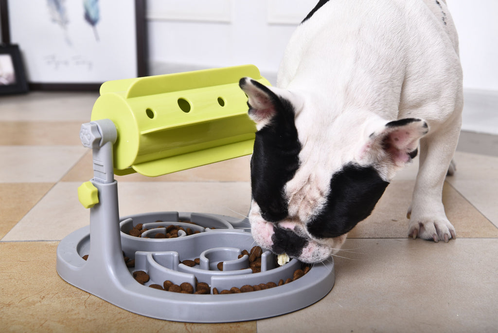 Pet Life ® 'Roto Paw' IQ Training Interactive Rotating Slow Dog Feeder - P's One-Stop Shop 
