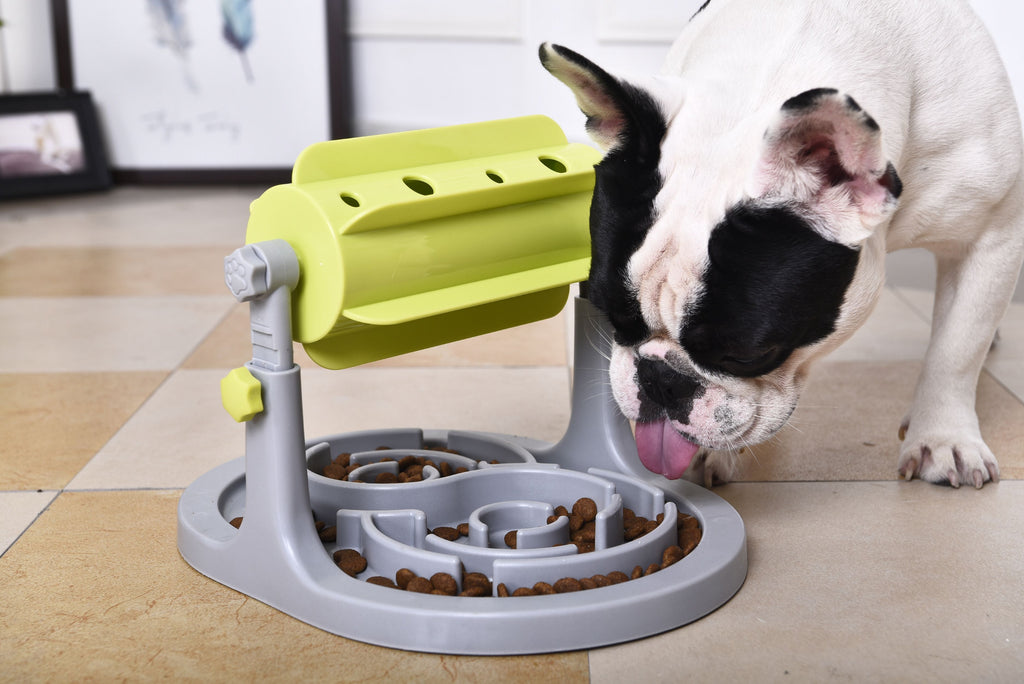 Pet Life ® 'Roto Paw' IQ Training Interactive Rotating Slow Dog Feeder - P's One-Stop Shop 