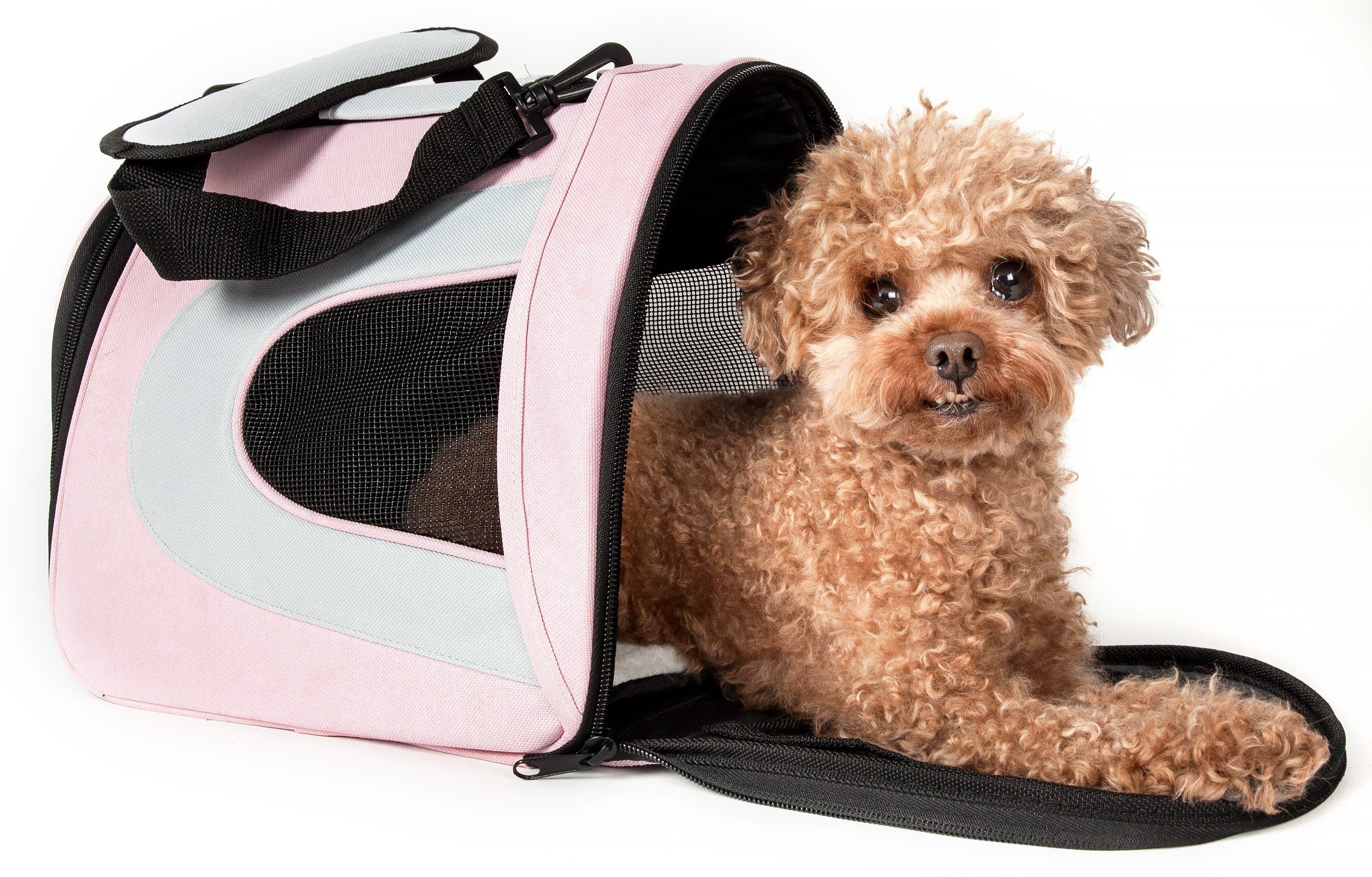 Pet Life ® Sporty Mesh Airline Approved Zippered Folding Collapsible Travel Pet Dog Carrier - P's One-Stop Shop 