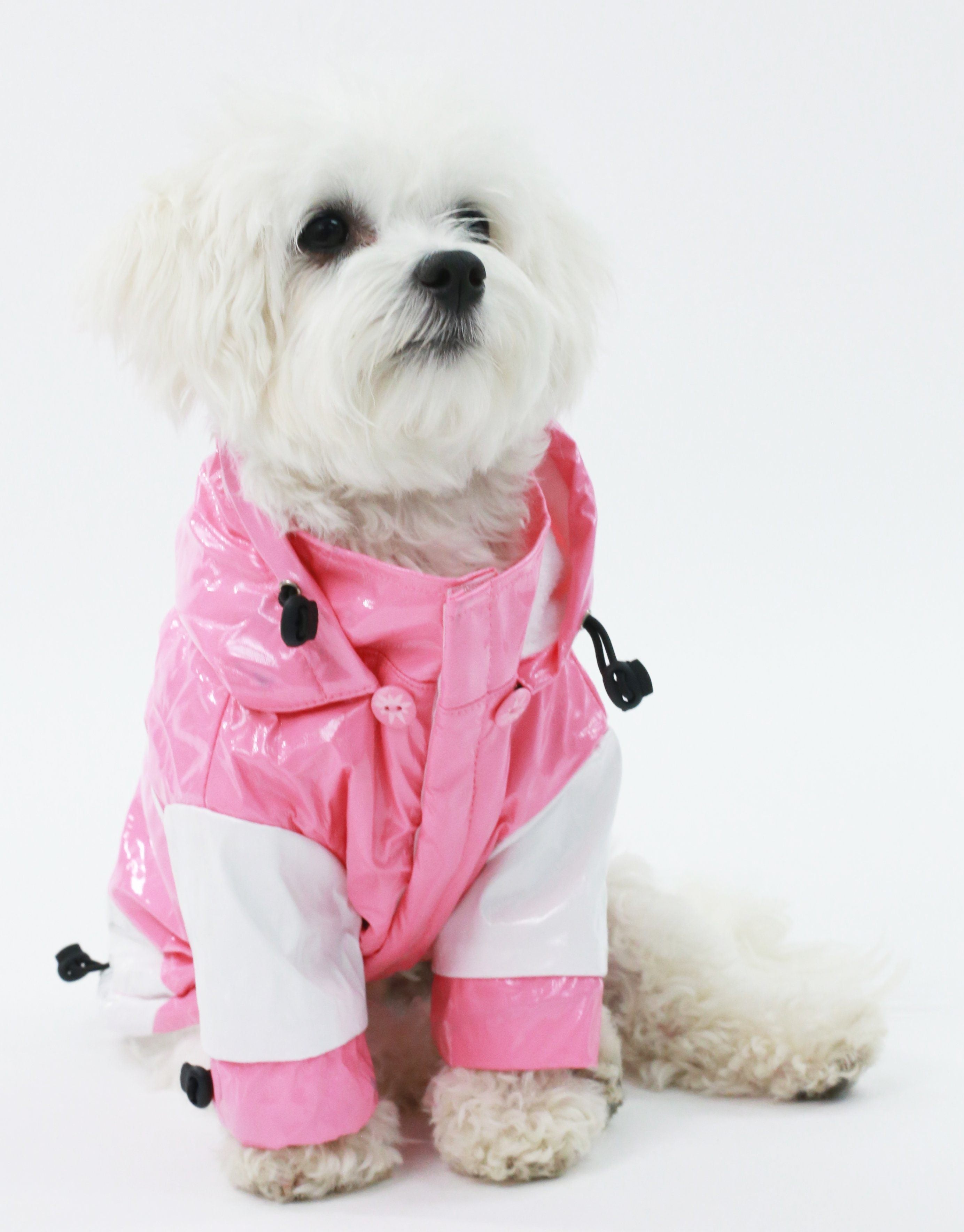 Pet Life ® 'Two-Tone' Waterproof Adjustable Dog Raincoat Jacket w/ Removable Hood - P's One-Stop Shop 