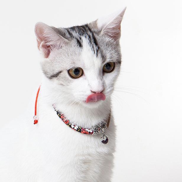 Touchcat Lucky Charms Designer Cable Necklace Cat Collar - P's One-Stop Shop 