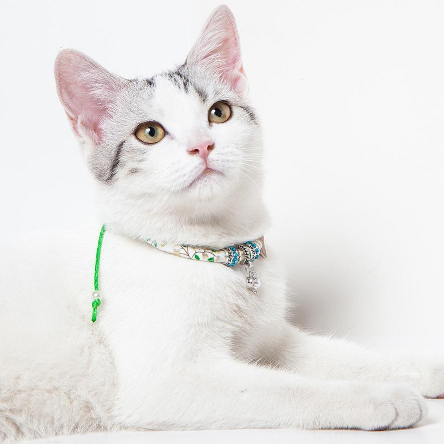 Touchcat Lucky Charms Designer Cable Necklace Cat Collar - P's One-Stop Shop 
