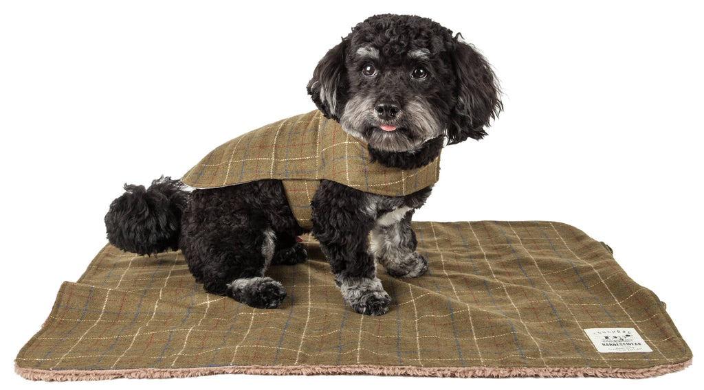 Touchdog ® 2-In-1 Windowpane Plaid Dog Jacket and Matching Reversible Dog Mat - P's One-Stop Shop 