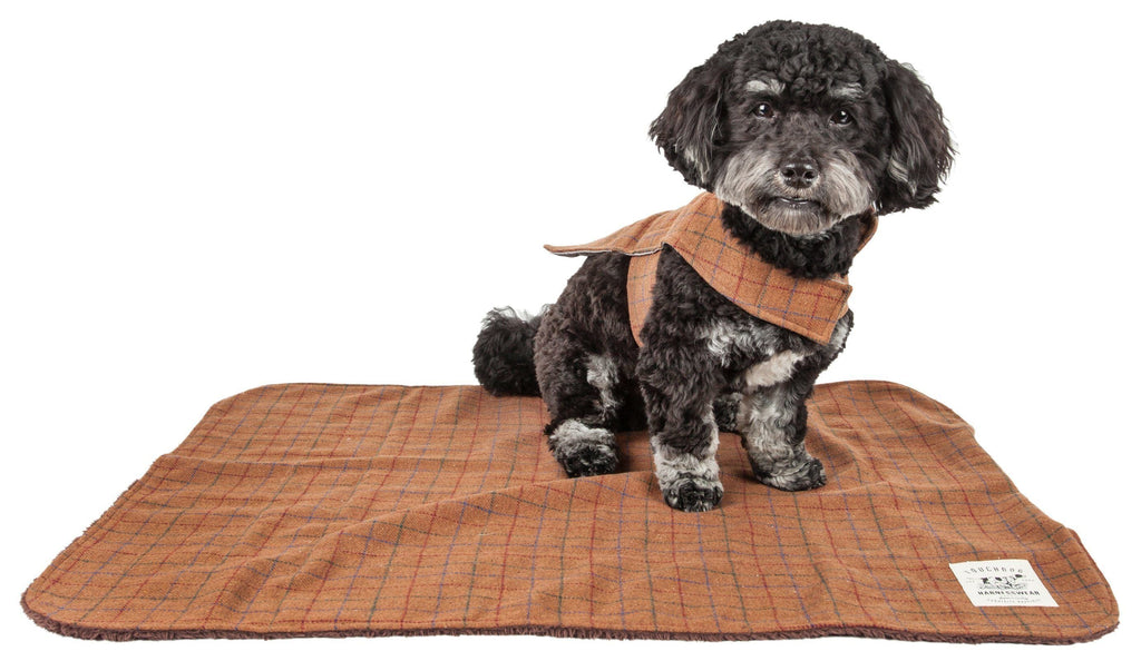 Touchdog ® 2-In-1 Windowpane Plaid Dog Jacket and Matching Reversible Dog Mat - P's One-Stop Shop 