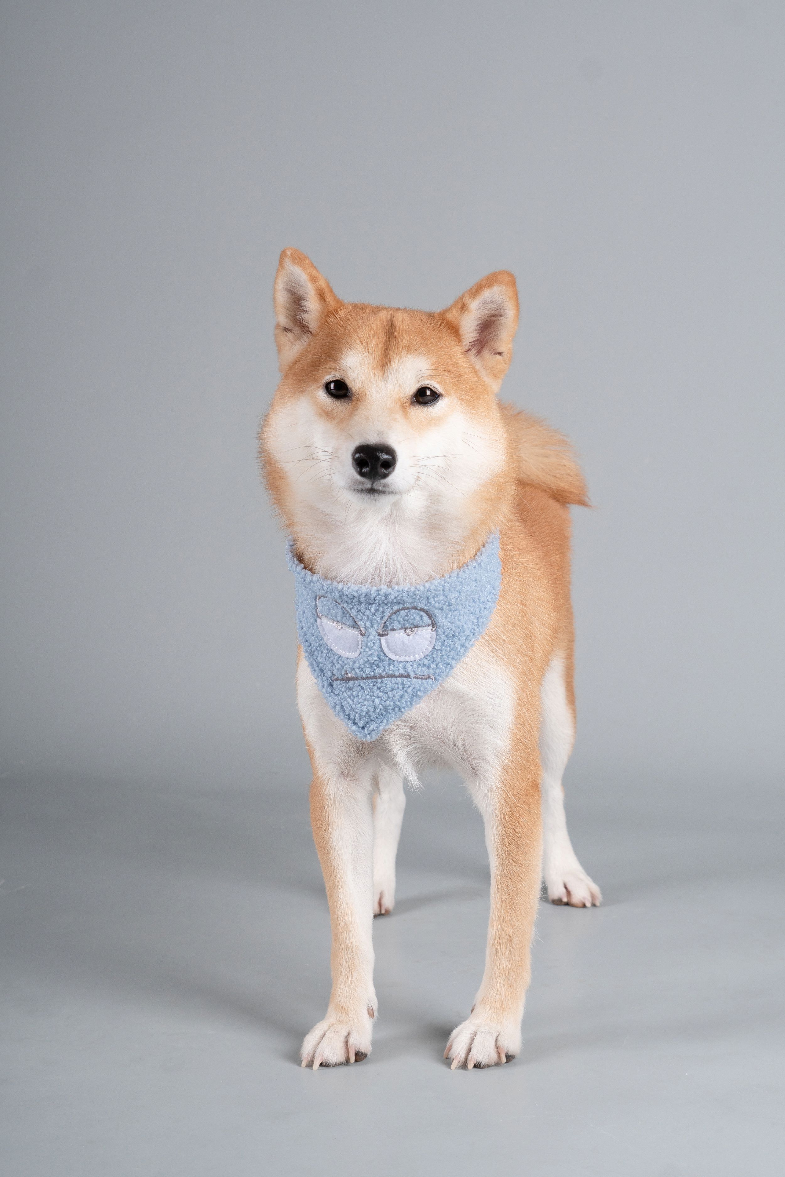 Touchdog ®'Dizzy-Eyed Cyclops' Cotton Hook-and-Loop Dog Bandana and Scarf - P's One-Stop Shop 