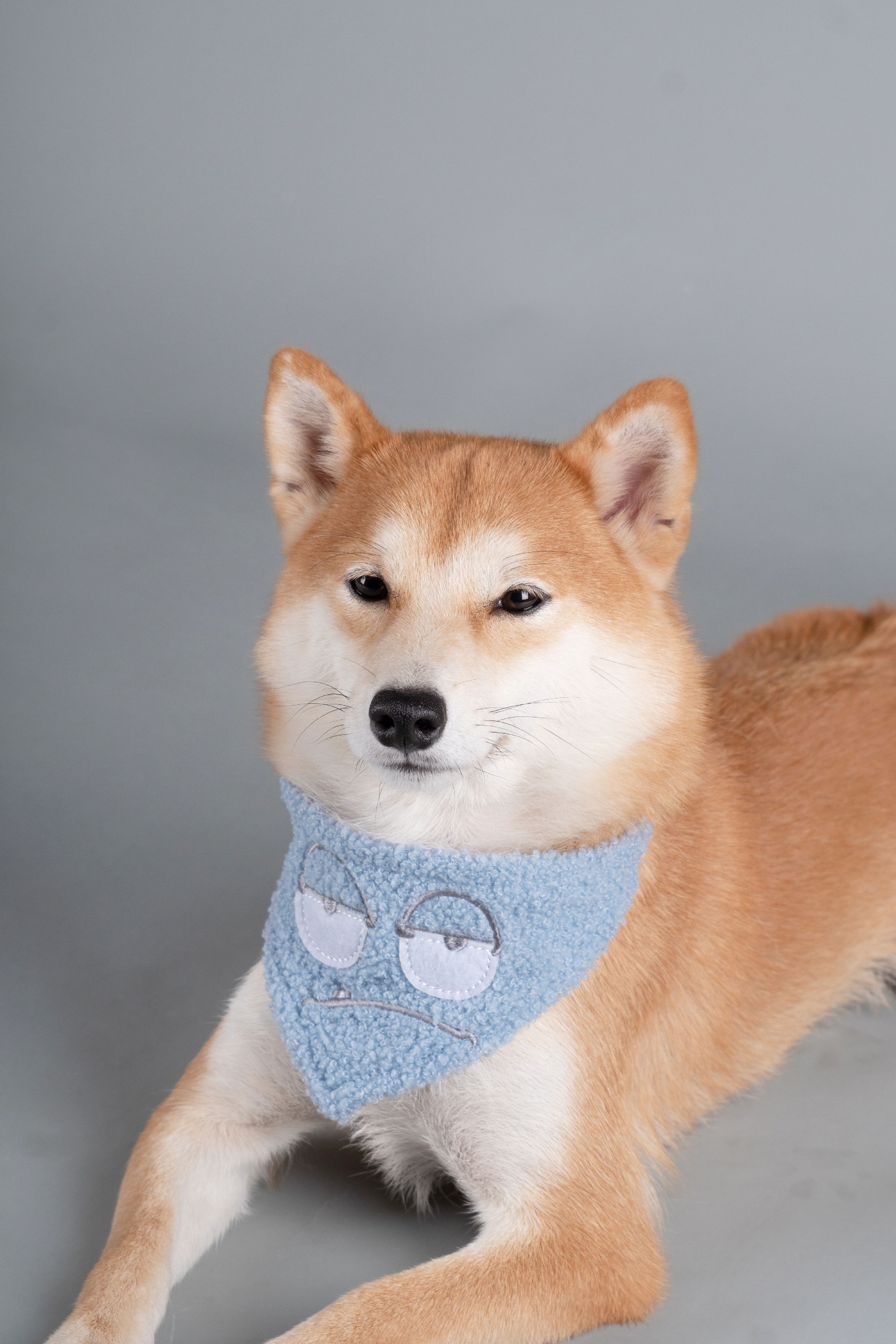Touchdog ®'Dizzy-Eyed Cyclops' Cotton Hook-and-Loop Dog Bandana and Scarf - P's One-Stop Shop 