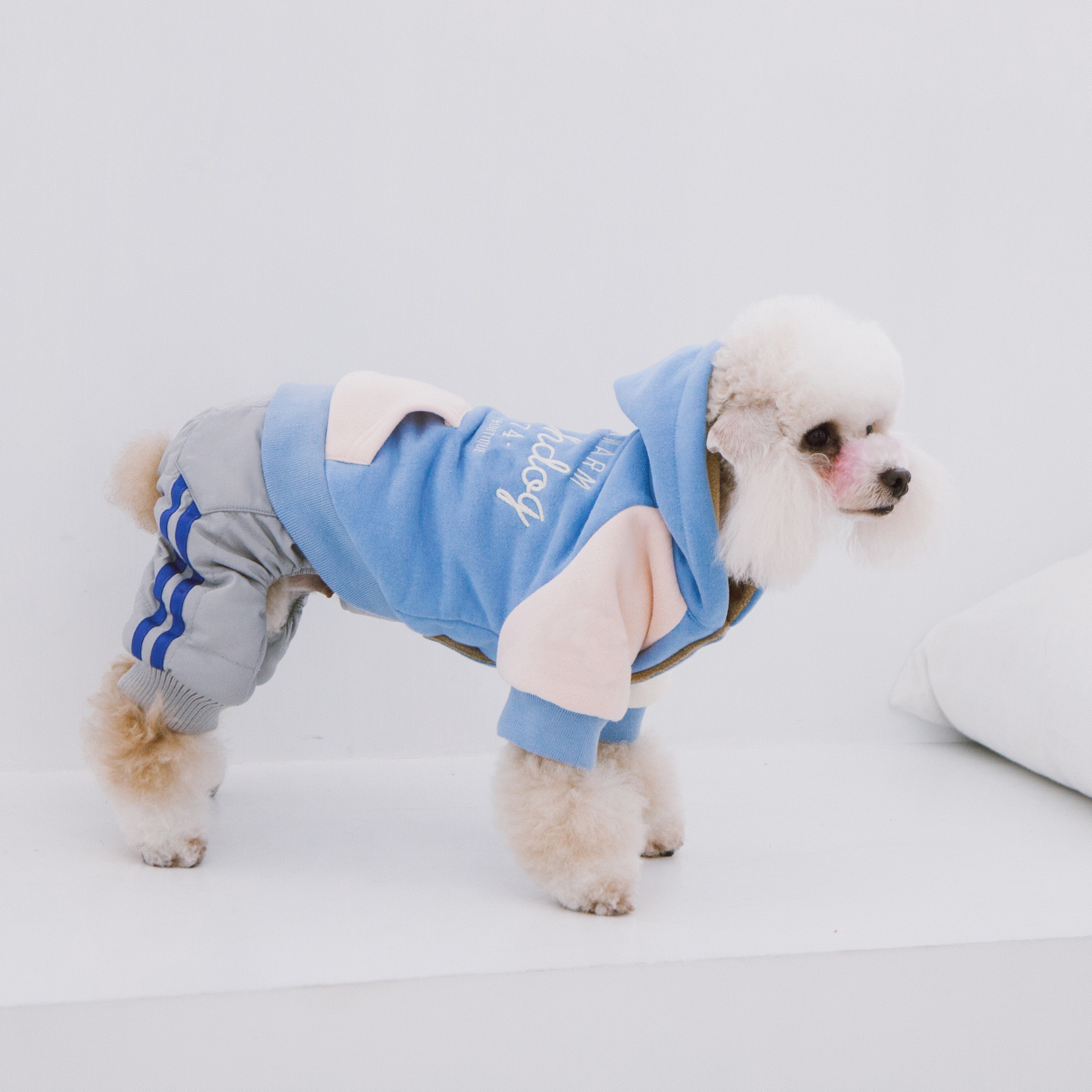 Touchdog 'Heritage' Soft-Cotton Fashion Dog Hoodie Sweater - P's One-Stop Shop 