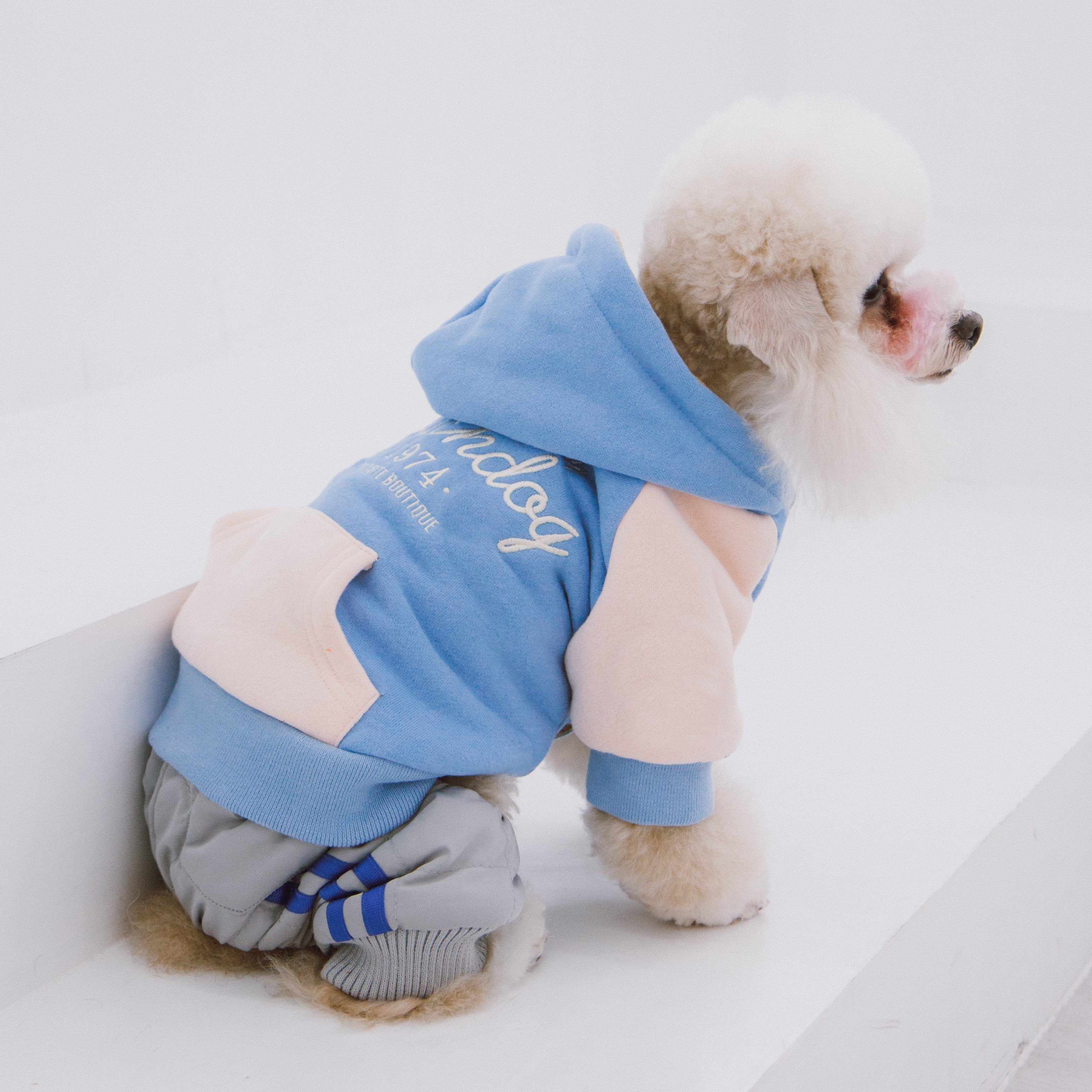 Touchdog 'Heritage' Soft-Cotton Fashion Dog Hoodie Sweater - P's One-Stop Shop 