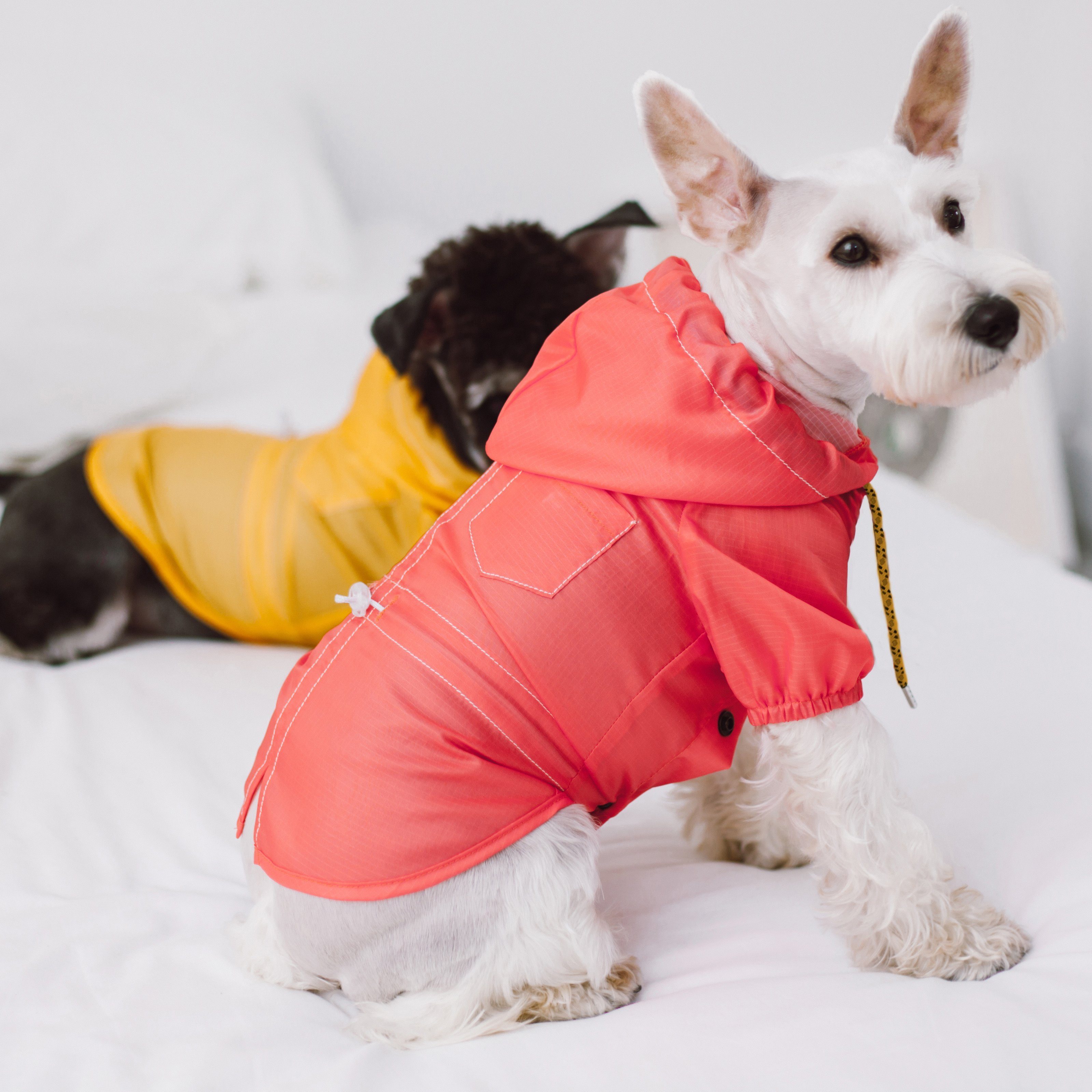 Touchdog Split-Vent Designer Waterproof Dog Raincoat - P's One-Stop Shop 