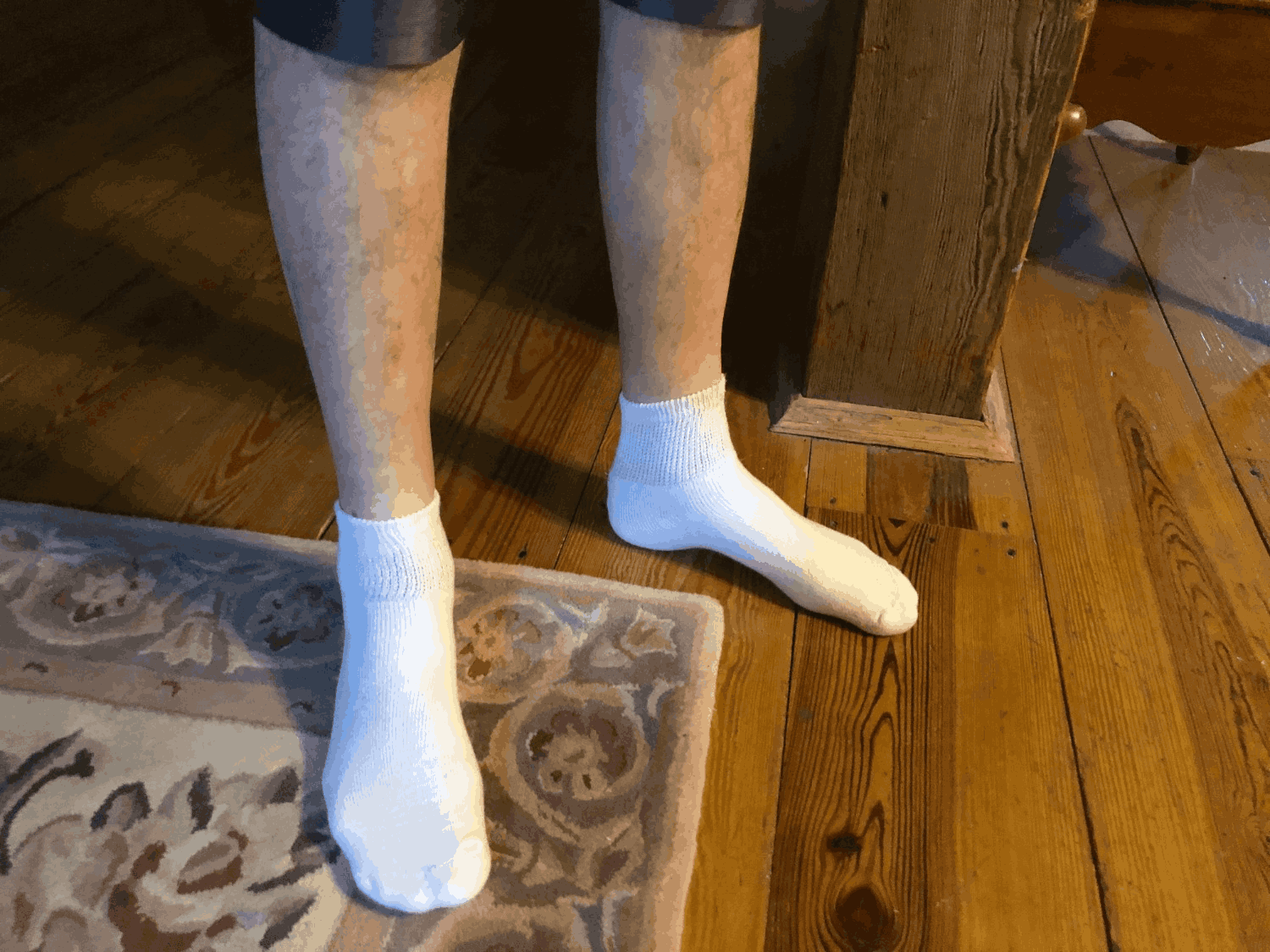 Women's Cotton Diabetic Ankle Socks (Assorted) - P's One-Stop Shop 